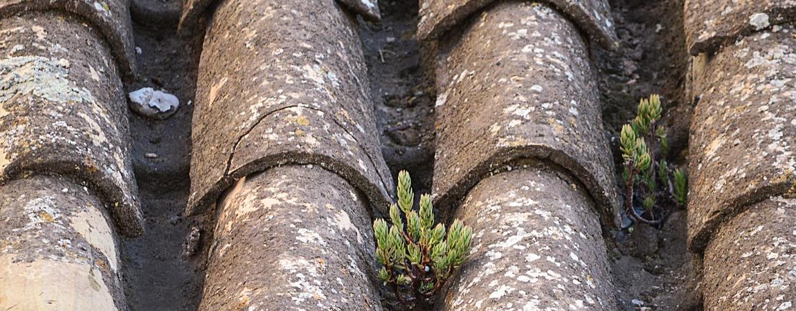 entretien toitureBouches du Rhône